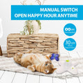 AFP Interactive Cat Toy, Butter-Fly Interactive for Indoor Cats, Flutter Bug Cat Toys, Flutter Rotating Kitten Toys with