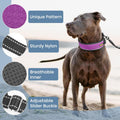 Mayerzon Patented No Pull Collar for Small Medium Large Dogs, Purple, M