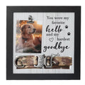 X-partner Pet Memorial Frame with Collar Holder – Dog and Cat Loss Remembrance Gift – You Were My Favorite Hello and Hardest Goodbye – Sympathy Keepsake Frame for Pet Lovers