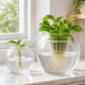 2pcs Plastic DIY Fish Bowls - 135oz Round Clear Fish Tanks 1 Gallon Aquarium, Hydroponic Planter, and Multi-Use Containe