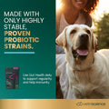 VetriScience Gut Health Chews, Probiotic Everyday Digestive Supplement for Dogs, Pet Probiotics for Digestion Support, Gas and Diarrhea, Immune Support, 1 Billion CFU Per Chew, Duck, 120 Count