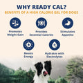 Under the Weather Pet Electrolytes Ready Cal Plus Gel for Dogs | Vet-Formulated High-Calorie Supplement for Dog & Puppy 