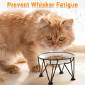 Elevated Ceramic Cat Bowls – Whisker-Friendly & Anti-Vomiting, Non-Slip Raised Cat Food Dishes – Stylish, Safe & Hygieni