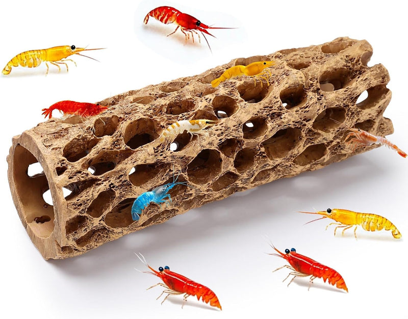 6“ Resin Cholla Wood Aquarium Décor Wood- Realistic Shrimp Hideout & Climbing Toy (6