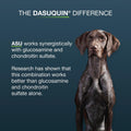 Nutramax Dasuquin MSM Joint Supplement, Large Dogs Chewable Tablets, 150ct