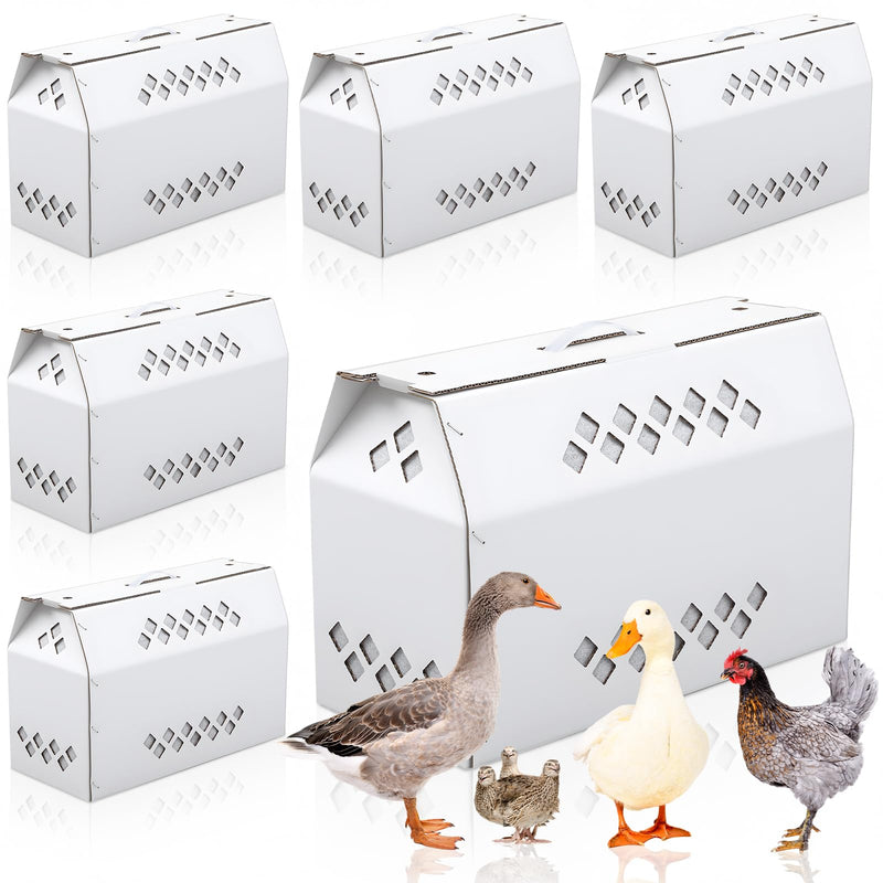 YooNotee 6 Pack Single Live Chicken Shipping Box, 17.7
