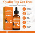 Dog Longevity Support Supplement with NMN, NAD+, CoQ10 & Resveratrol, Daily Liquid Supplement for Dogs, Nanoliposomal Dr