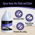 EBPP Odor & Stain Eraser - Made in The USA - Pet Odor Absorber and Room Deodorizer for Home Use - Odor Remover and Urine Odor Eliminator - Lavender Enzyme Carpet Cleaner