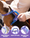 DF Freedom No Pull Martingale Dog Harness and Leash Set, Front Clip Adjustable Harness with Reflective & Padded Handle, 