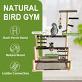 Parrot Playstand Bird Playground