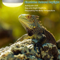 DaToo Reptile Heat Lamp 100W Amphibians Basking Light Bulb UVA Heat Lamp Bulbs Daylight Basking Spot Light for Lizards B