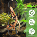 DBNESS Snake Climbing Rings, Ball Python Enclosure Enrichment Ring, Adjustable Playground Terrarium Decor Accessories fo