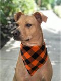 Realeaf Fall Dog Bandanas 2 Pack, Orange Plaid Pet Scarf for Boy and Girl, Premium Durable Fabric, Holiday Halloween Tha