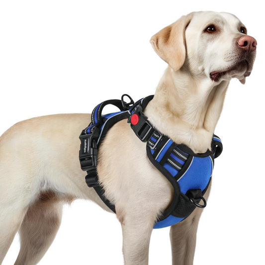 rabbitgoo Dog Harness for Large, No Pull Easy On & Off with 3 Buckles Pet Harness, Adjustable Soft Walking Vest with 2 Clips and Handle, Reflective for Large Dogs, Blue, L