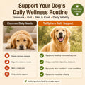 Turkey Tail Mushroom for Dogs & Cats, Immune & Gut Mushroom Chews for Dogs
