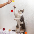 Xthrotsenk 100 Pcs Cat Toy Balls 1-inch Colorful Cat Pom Pom Balls Soft Interactive Kitten Ball Cats Exercise Toys Fuzzy Kitten Interactive Playing Quiet Toy for Cats Pet(2.5 cm)