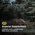 Majesty's Omega Wafers - Superior Horse / Equine Skin, Coat, and Immune Support Supplement - Omega 3, 6, 9, and Biotin -