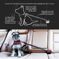 EzyDog Click - Dog Seat Belt Car Restraint - 17in - 26in
