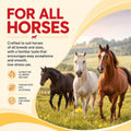 Ivermectin Horse Paste 1.87% – Apple Flavored Oral Horses Dewormer, Treats Equine Up to 1250 LB,6-Pack