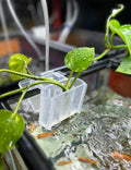 sogiv 3 Holes Aquatic Plant Cups, Hanging Aquarium Plant Holder for Fish Tank Plants Potting, Aquascape Accessories Deco