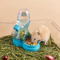 2 in 1 Hamster Water Bottle No Drip with Large Capacity Automatic Food Dispenser Small Animal Feeder for Syrian Dwarf Ha