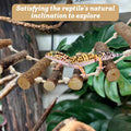 VCEPJH 2pcs Reptile Bridge Leopard Gecko Climbing Ladder Wooden Basking Lounger Reptile Tank Accessories for Hermit Crab