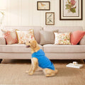 EXPAWLORER Fleece Dog Hoodie with Pouch, Blue XXL