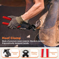 8 inch Farrier Tools Kit (8 Piece) Horse Goat Hoof Trimmers Carbon Steel Nippers Shears Nail Clipper, Mini Rasp, Hoof Tr