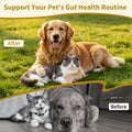Dewormer for Cats & Dogs, Tapeworm Dewormer for Cats & Dogs, 2 Weeks and Older