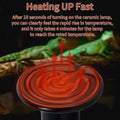 100W Ceramic Heat Emitter (2 Pack), Reptile Heat Lamp Bulbs, Ceramic Heater for Amphibian, Pet Brooder Coop, Chicken, Do