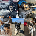 LESYPET Dog Goggles for Extra Small Breed UV Protection Windproof Chihuahua Goggles Doggy Sunglasses with Adjustable Str