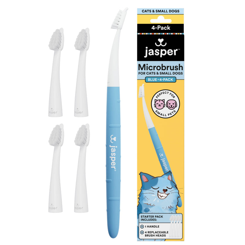 Jasper Microbrush Vet Approved Cat Toothbrush, Soft-Bristled Toothbrush Kit for Felines & Small Dogs, Non-Slip Handle, Tooth Brush Heads, Use with Cat Toothpaste, 4-Pack Blue