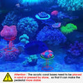 Live Coral Reef frag Rack，frag Plugs Holder for Coral，Fluorescent Acrylic Coral frag Bracket，This Set Contains 8 columna