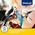 Vitakraft Egg Food for Birds 1.1 lb.