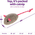 SmartyKat Skitter Critters Value Pack Catnip Cat Toys - Gray/Cream, Set of 10