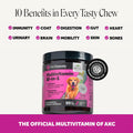 Pet Honesty Vet Recommended 10-in-1 Dog Multivitamin, 90 Ct, Peanut Butter