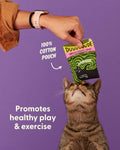 Blue Q Catnip - Cute Cat Toys for Biting with Funny Graphics - Duuuuuuuude