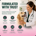 VetriScience DMG Immunity Health Easy-Dose Liquid for Dogs and Cats, 114 ml