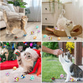 TUSATIY Interactive Cat Ball Toy,6pcs Fuzzy Kitty Balls with Bells,Cat Pom Pom Balls for Kittens to Keep Busy,Colorful C