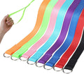 HOMIMP Slip Lead Dog Leash 6 FT- 48 PCS Bulk Colors Kennel Control Leashes for Small Medium Large Dogs Puppy Animal Resc