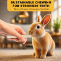 SunGrow Sweet Bamboo Chew Sticks for Rabbits, 100g (3.5 oz) Bunny Molar Chew Sticks for Guinea Pigs, Chinchillas, Gerbil