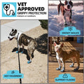 Dog Boots for Large Dogs, Medium Dog Boots & Paw Protectors for Hardwood Floors, Outdoor Dog Booties for Hot Pavement Wi