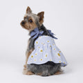 Fitwarm Daisy Dog Dress, Elegant Summer Clothes for Small Dogs Girl, Lightweight Pet Clothes, Blue, White, Large