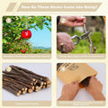 900g Apple Sticks Wood Chew Sticks Toys for Rabbits Chinchillas Guinea Pigs Hamsters Bunny Molar Chew Treats Toys for Te