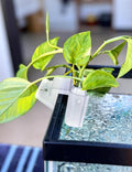 sogiv 3 Holes Aquatic Plant Cups, Hanging Aquarium Plant Holder for Fish Tank Plants Potting, Aquascape Accessories Deco