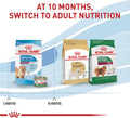 Royal Canin Size Health Nutrition Small Indoor Puppy Dry Dog Food, 2.5 lb Bag