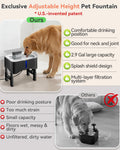 UPSKY 11L Elevated No-Spill Dog Water Fountain with 4 Adjustable Heights