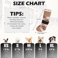 EXPAWLORER Dog Socks to Prevent Licking Paws,Anti Slip Dog Shoes for Hot Pavement,Dog Booties for Hardwood Floors,Dogs B