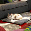 Mora Pets Self Heating Cat Bed Self Warming Cat Pad Thick Thermal Pet Bed Mat 24 x 18 Inches with Removable Cover Machine Washable Ultra Warm Mat for Outdoor Indoor Cats and Small Dogs