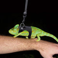 3PCS Bearded Dragon Harness and Leash Set | 3 Size Adjustable Reptile Leash
